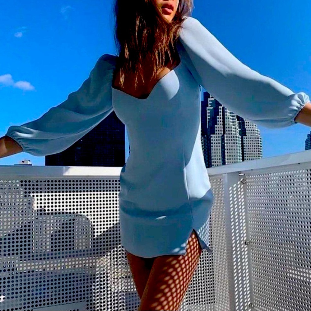 Aritzia Novella Dress